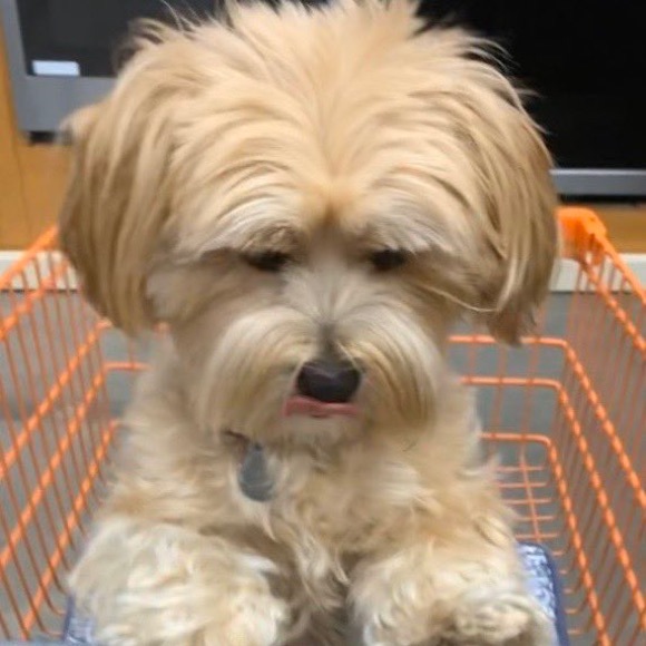 ❤️ - Picture 11 of 14